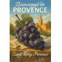 Visuel de À l’ombre des vignes – Raisin noir de Saint-Rémy