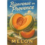 Melon de Provence – Le Goût du Soleil