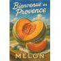 Visuel de Melon de Provence – Le Goût du Soleil