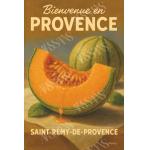 Melon de Saint-Rémy – Chair d’Été