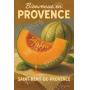 Visuel de Melon de Saint-Rémy – Chair d’Été