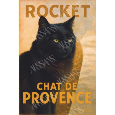 Rocket - Chat de Provence