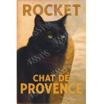 Rocket - Chat de Provence