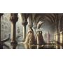 Visuel de Les Dames du Silence – Venise voilée