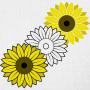 Visuel de Papier Peint Helianthus
